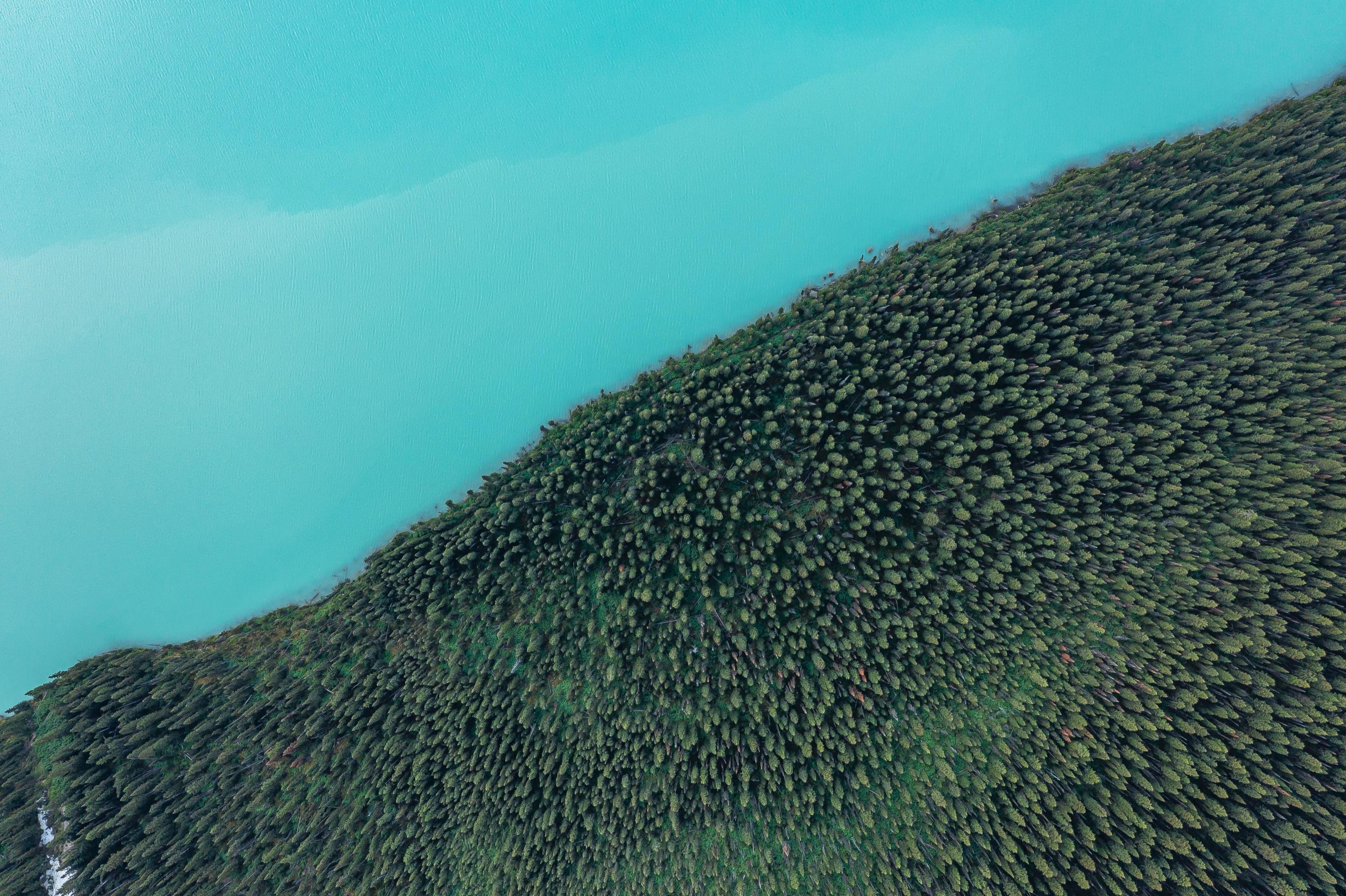 Aerial view of turquoise Emerald Lake and dense forest in Yoho National Park