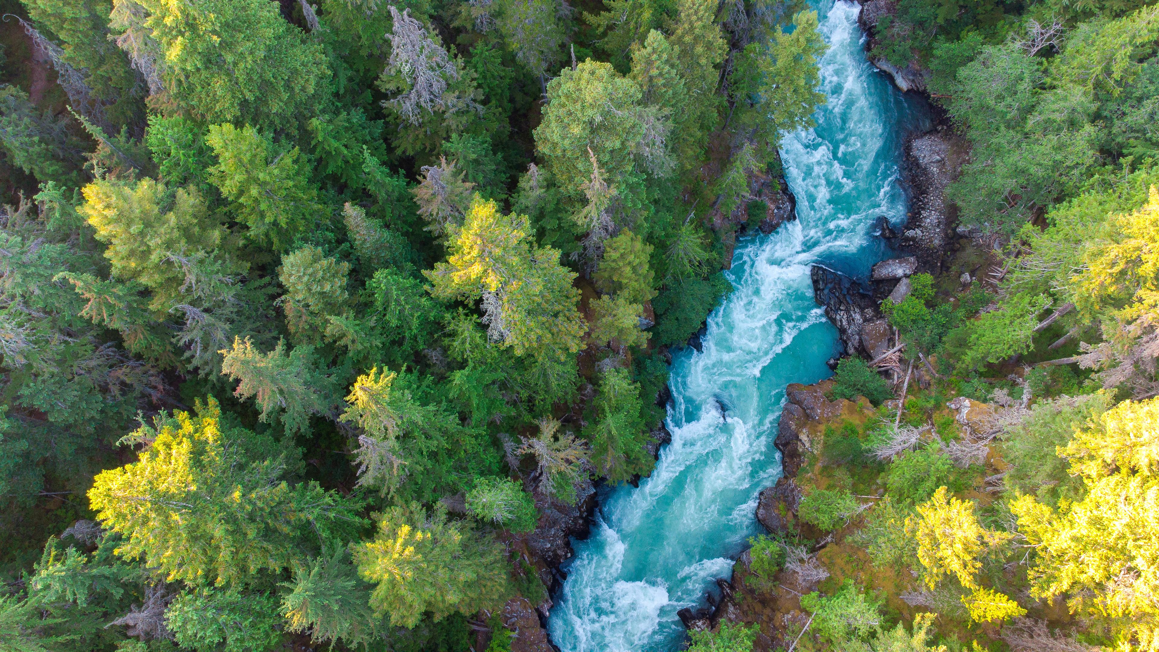 Aerial view of a river flowing through a British Columbia forest