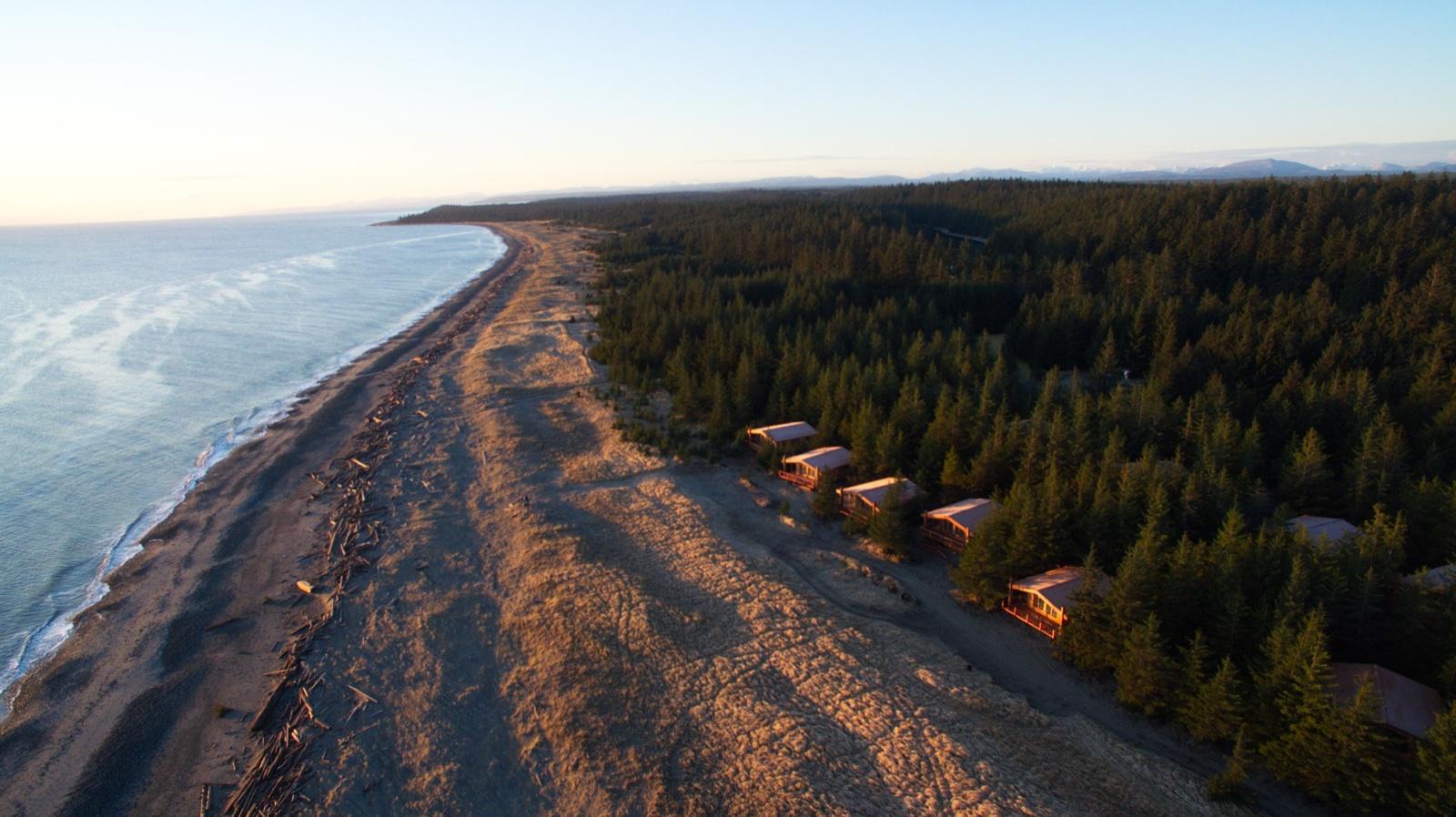 Aerial view of the beach and forest at Haida House