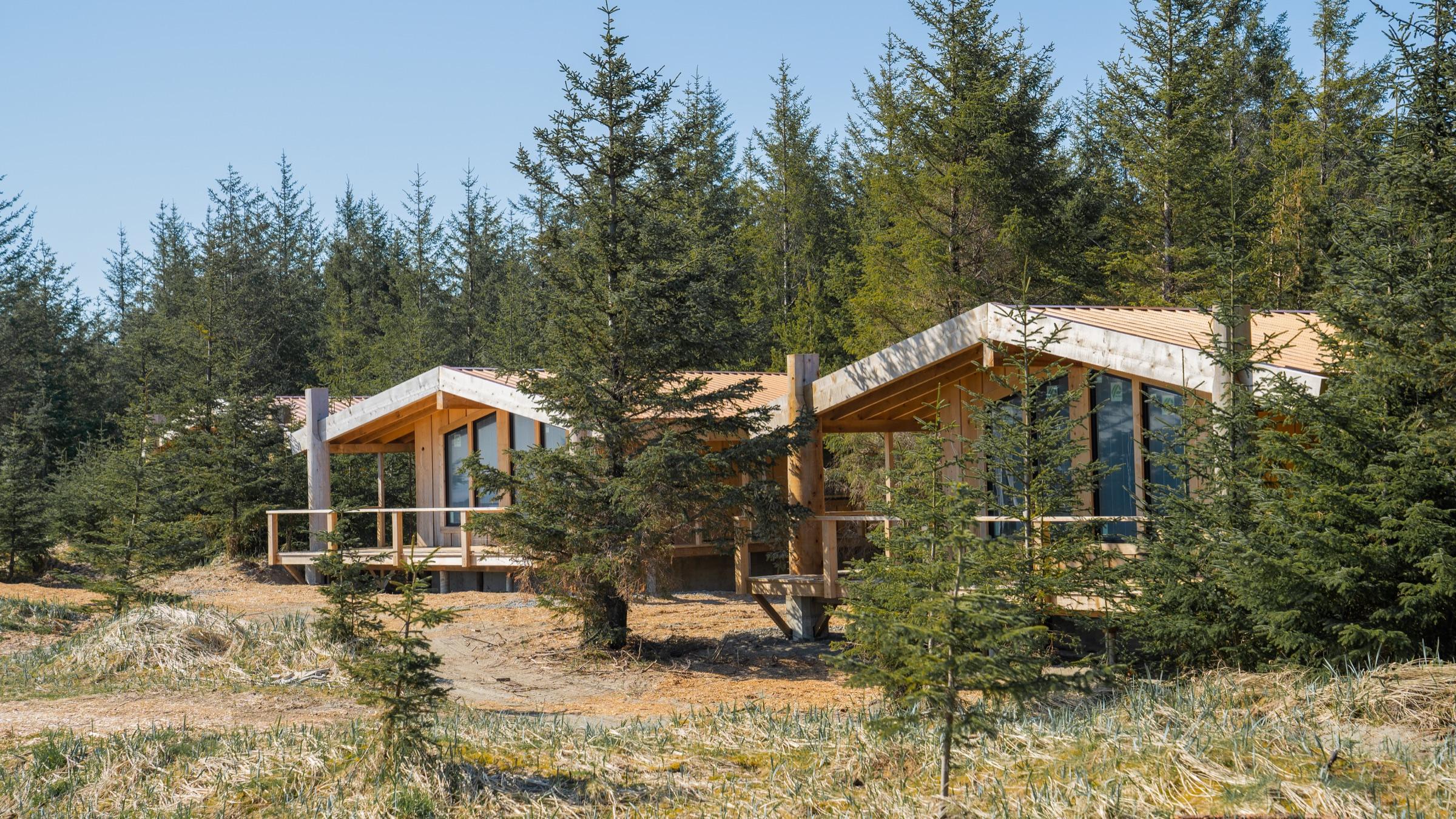 Ocean House cabins nestled in the coastal forest